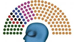 Radiografía del congreso entrante, por Arturo Maldonado