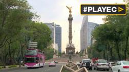 México sembrará millones de árboles para combatir contaminación