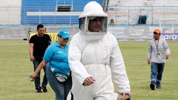 Un partido de fútbol fue suspendido por ataque de abejas