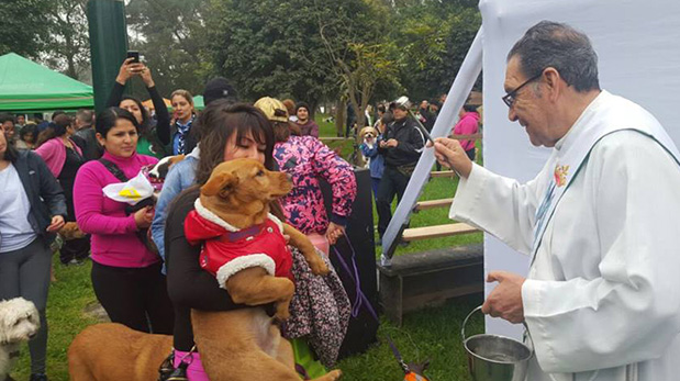 [Foto] Se solidarizaron con perros sin hogar