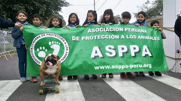 [Foto] Se solidarizaron con perros sin hogar
