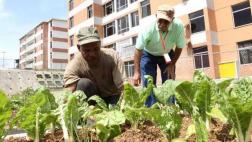 Venezuela: La inusual propuesta del gobierno contra la escasez