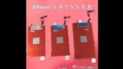 iPhone 7: versión de 4,4” tendría pantalla 2K