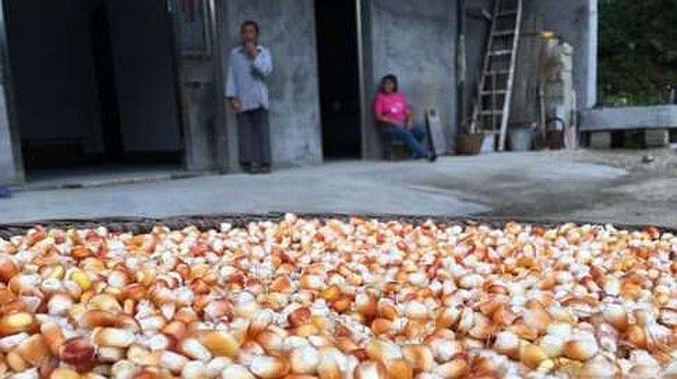 Existen zonas en China que son eminentemente agrícolas. (Foto: BBC)