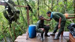 Colombia: ¿Y qué pasará ahora con los guerrilleros de las FARC?