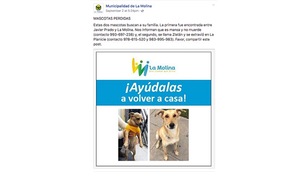 Las autoridades de la municipalidad se valen de las redes sociales para colocar mascotas perdidas y para promover sus animales en adopción.