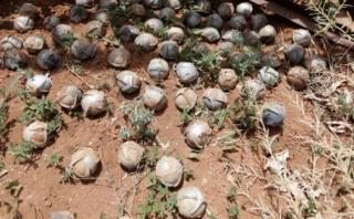 Laos, el país sobre el que llovieron 280 millones de bombas
