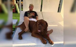 Lionel Messi se recupera junto a su dogo de Burdeos