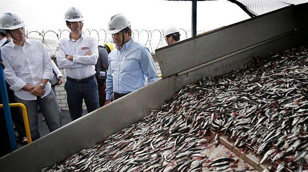 Segunda temporada de pesca de anchoveta podría retrasarse