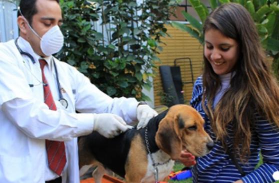 VAN CAN le declara la guerra a la rabia