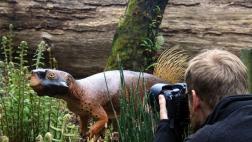 Reconstruyen modelo de dinosaurio más realista de la historia