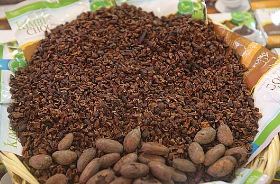 Escasez de cacao se extenderá hasta el 2017, dice Cargill