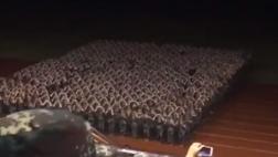 YouTube: Niñas militares sorprenden con coordinada coreografía