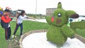 Surco instaló Pikachu elaborado con más de 8.500 plantas