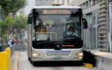 Señor de los Milagros: desvíos en Metropolitano y corredor TGA
