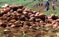El mercado de fertilizantes mueve 1,1 mlls. de toneladas