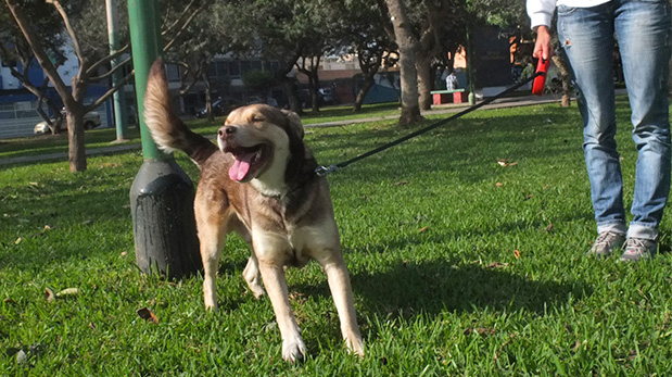 Toe paseando con Jorge por el parque.