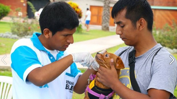 San Miguel, activo en el cuidado de sus mascotas | El Comercio Perú - El Comercio