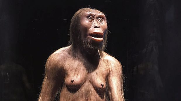 Reconstrucción anatómica a partir del esqueleto del ejemplar hembra de Australopithecus afarensis —Lucy—, 3.5 millones de años a.C. (Fotografía: Museo Nacional de Antropología de México, nada menos)