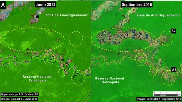 Imágenes tomadas en junio de 2013 (izquierda) y setiembre de 2016 (derecha) de la reserva nacional de Tambopata y su zona de amortiguamiento (Crédito: USGS/NASA)