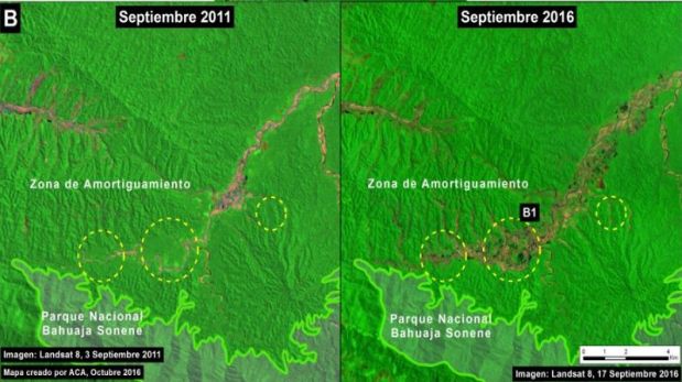 Imágenes tomadas en setiembre de 2011 (izquierda) y setiembre de 2016 (derecha) del Alto Malinowski (zona de amortiguamiento del Parque Nacional Bahuaja Sonene). (Crédito: USGS/NASA)