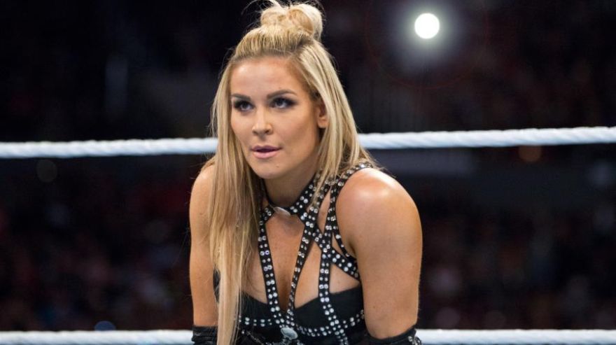 Sserenita Wrestling. Survivor Series las bellas divas que lucharán