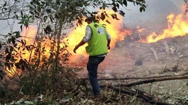 Incendio forestal en Lambayeque. (Foto: Andina)