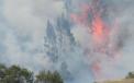 Incendios destruyeron m&aacute;s de 22 mil hect&aacute;reas en ocho d&iacute;as