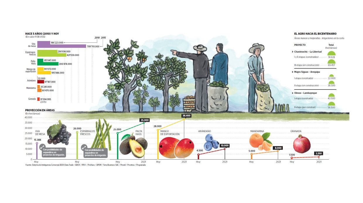 El desarrollo de los agronegocios (Archivo: El Comercio)