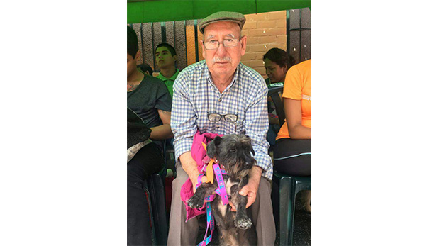 [Foto] Campaña gratuita esterilizó a 30 mascotas en Surco