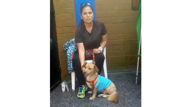 [Foto] Campaña gratuita esterilizó a 30 mascotas en Surco