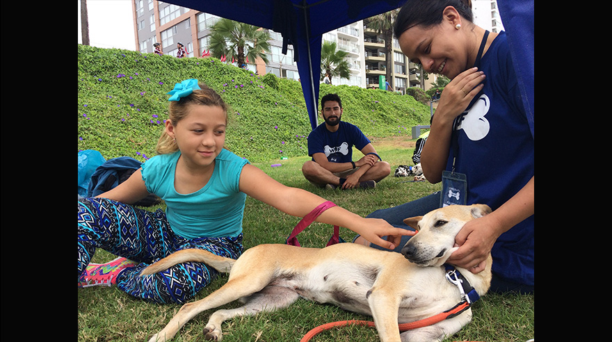 Varios niños se acercan para jugar con los Wufs y más de uno trata de convencer a sus padres para adoptar uno. Muchos tienen éxito.