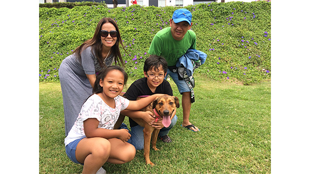 Muffin (de chocolate) y su familia.