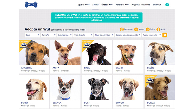 Éste es un vistazo de la plataforma de adopción de WUF, la que encuentras visitando wuf.pe/adopta