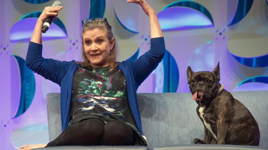 Carrie Fisher sentada junto a su mascota, un bulldog francés, en el año 2015. (Foto: AP)