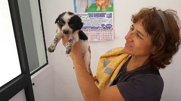 Gladys Ilich en la veterinaria sosteniendo a uno de los cachorros rescatados en Sauce.