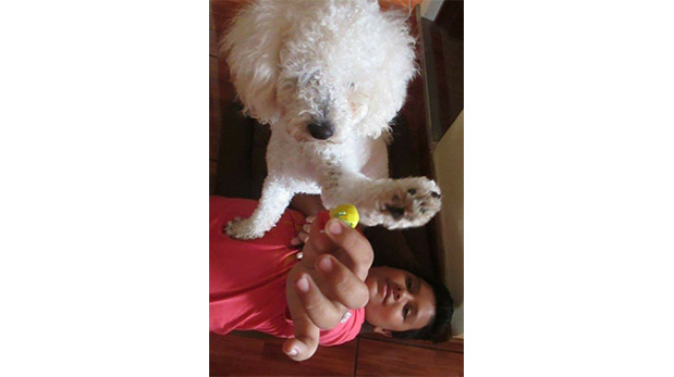 Angie An y Pegaso.