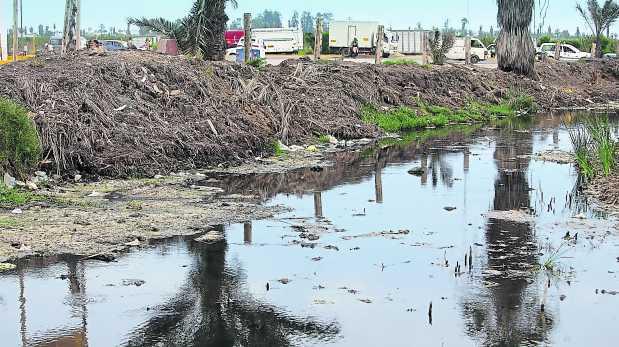 Camal y botadero contaminan los Pantanos de Villa