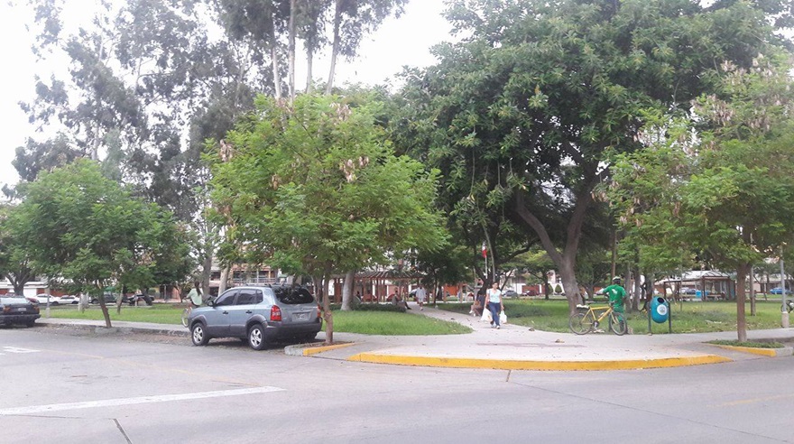 Escondimos libros en San Borja.