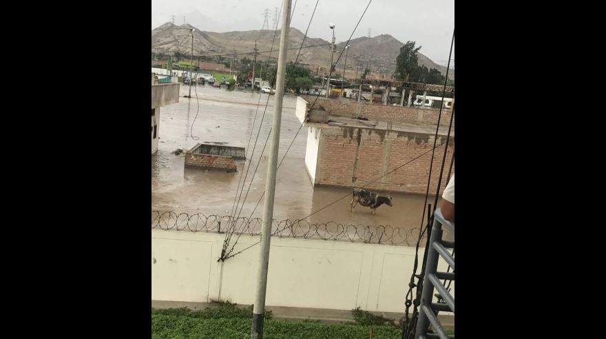Las fuertes precipitaciones en Trujillo activaron hoy unas tres quebradas que llegaron al centro de la ciudad. (Difusión)