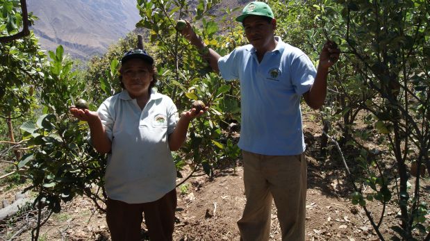 Dora Fuentes y su hijo Dámaso. Ella recibió en Rocoto de Oro en Mistura, por fomentar el cultivo orgánico de chirimoyas y lucumas en Callahuanca.
