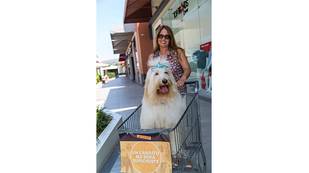 [Foto] Mall en Lurín le abre sus puertas a las mascotas