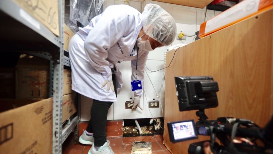 Popeyes asegura que Municipalidad de Lima no halló roedores en su restaurante