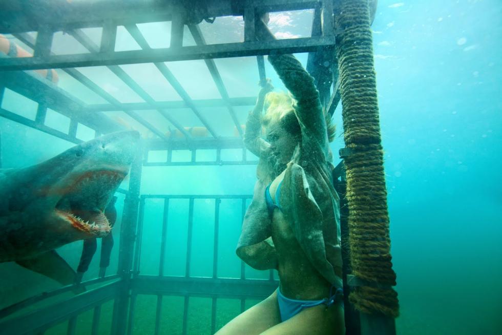 Dos hermanas Kate y Lisa van de vacaciones en México y tienen la oportunidad de ir a bucear en jaula para ver a los grandes tiburones blancos. Pero su divertido viaje se convierte en una pesadilla cuando la jaula de observación se libera del barco y cae a plomo hasta el fondo del fondo del océano. Atrapados 47 metros bajo el agua con menos de una hora de oxígeno en sus tanques, las hermanas deben encontrar una manera de volver a la superficie.