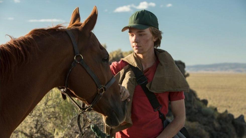 Charlie Thompson, un chico de quince años que queda solo al morir su padre, emprende junto a un caballo de carreras robado un peligroso viaje en busca de su tía, de la cual no tiene noticias desde hace tiempo, y un nuevo hogar.