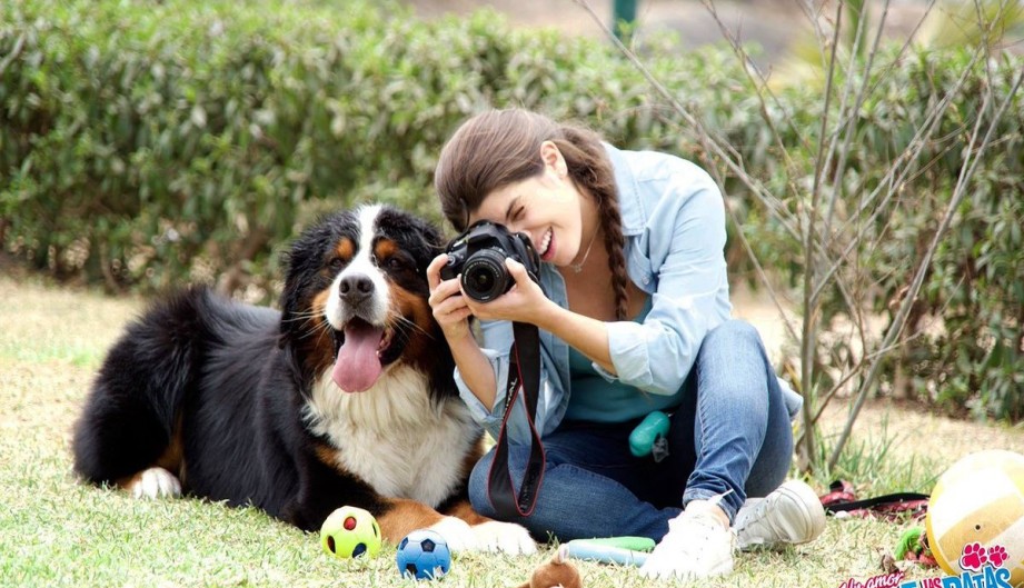 Un amor hasta las patas Un amor hasta las patas