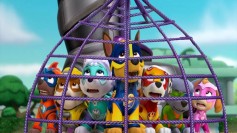 Paw Patrol: Mighty Pups