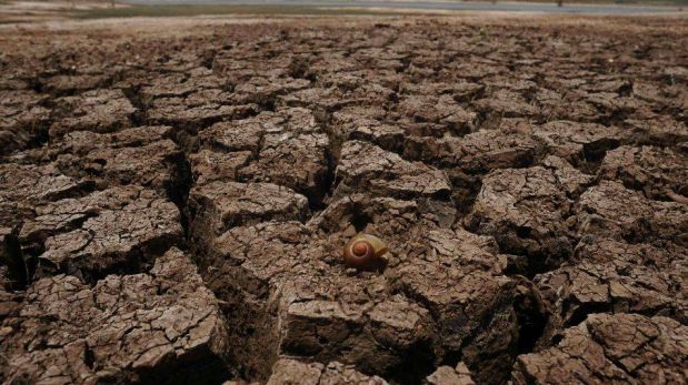 FOTOS: la peor sequía en últimos 50 años amenaza el noreste de Brasil
