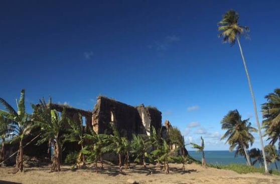 Maragogi: hogar de piscinas naturales y formaciones de corales en Brasil