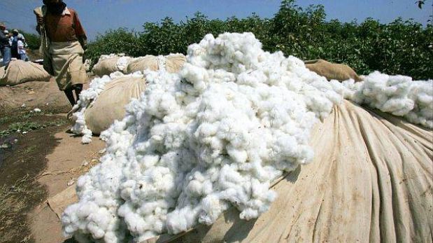 No aplicarán medidas compensatorias a la importación de algodón de EE.UU. 